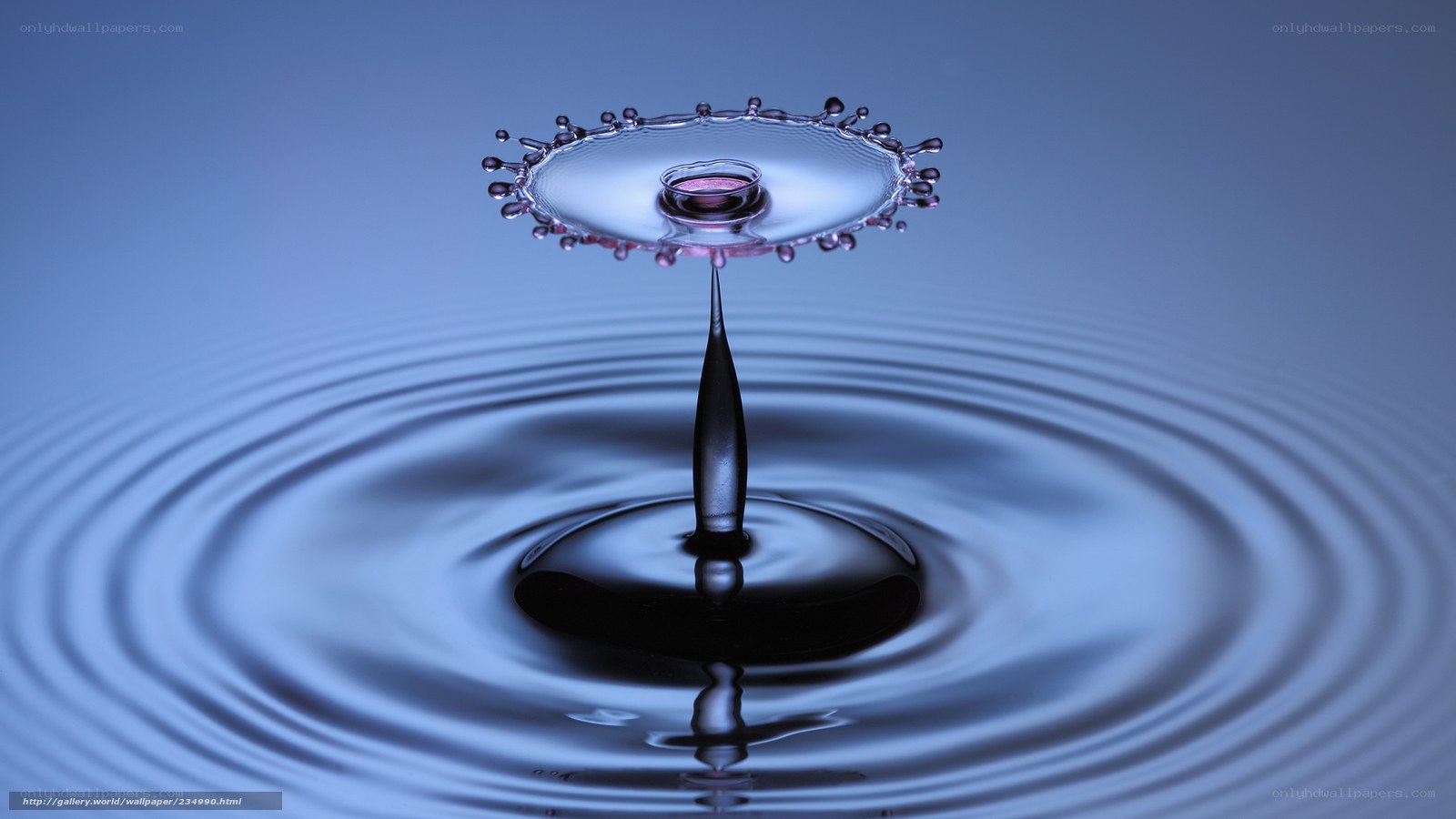 Water drop impact splash