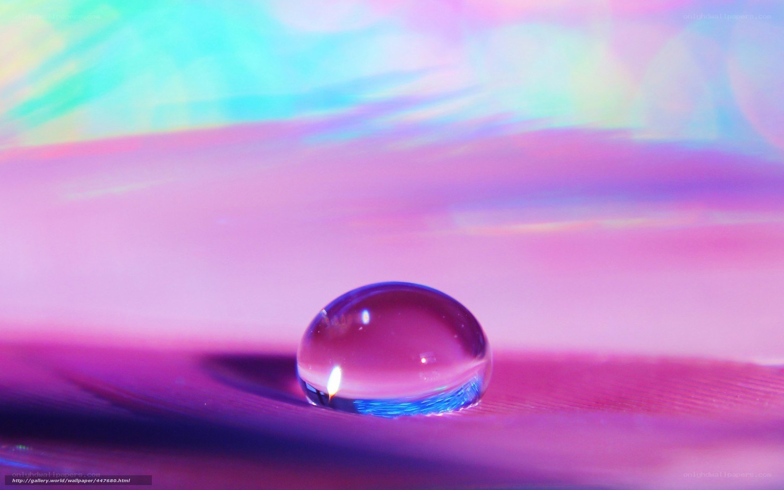 Water drop on colorful surface