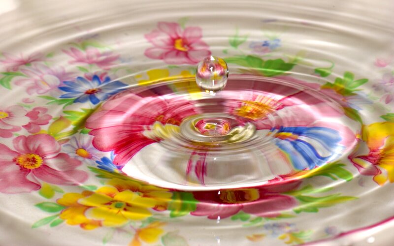 Water Drop on Floral Surface — Pink