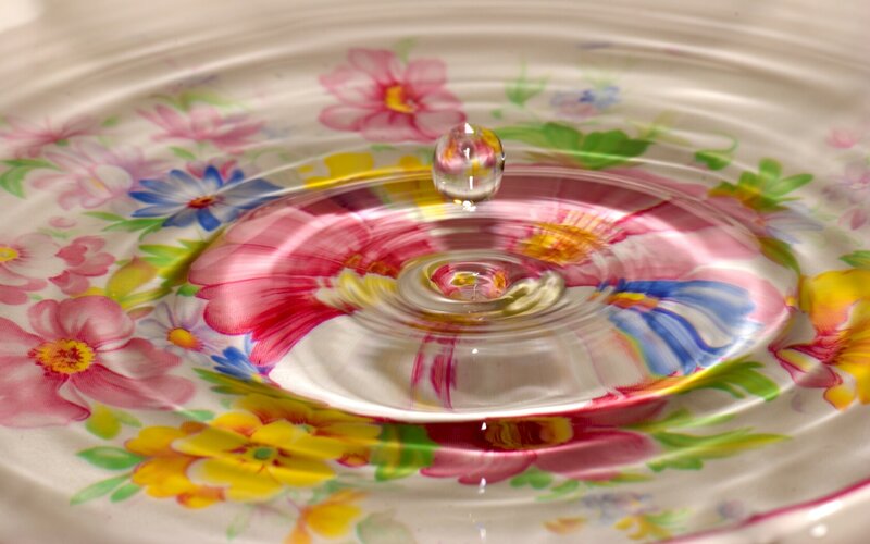 Water drop on floral surface