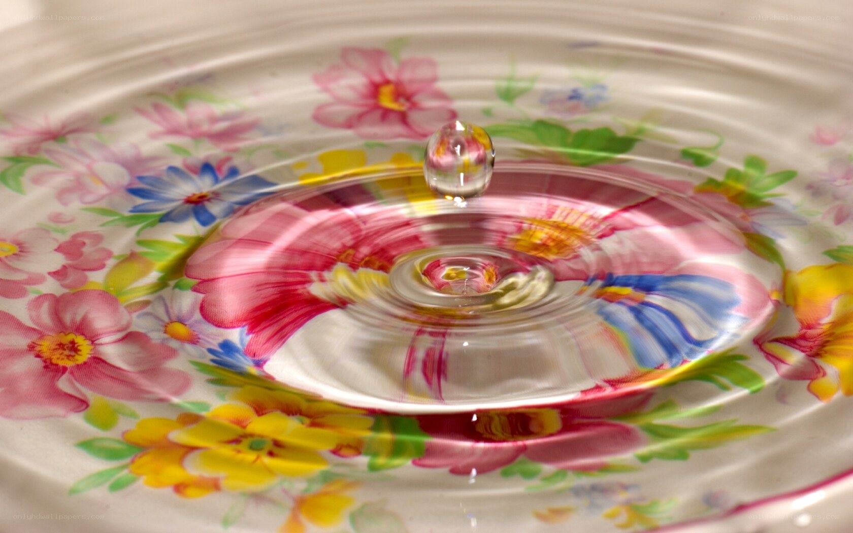 Water drop on floral surface