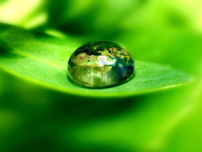 Water drop on green leaf