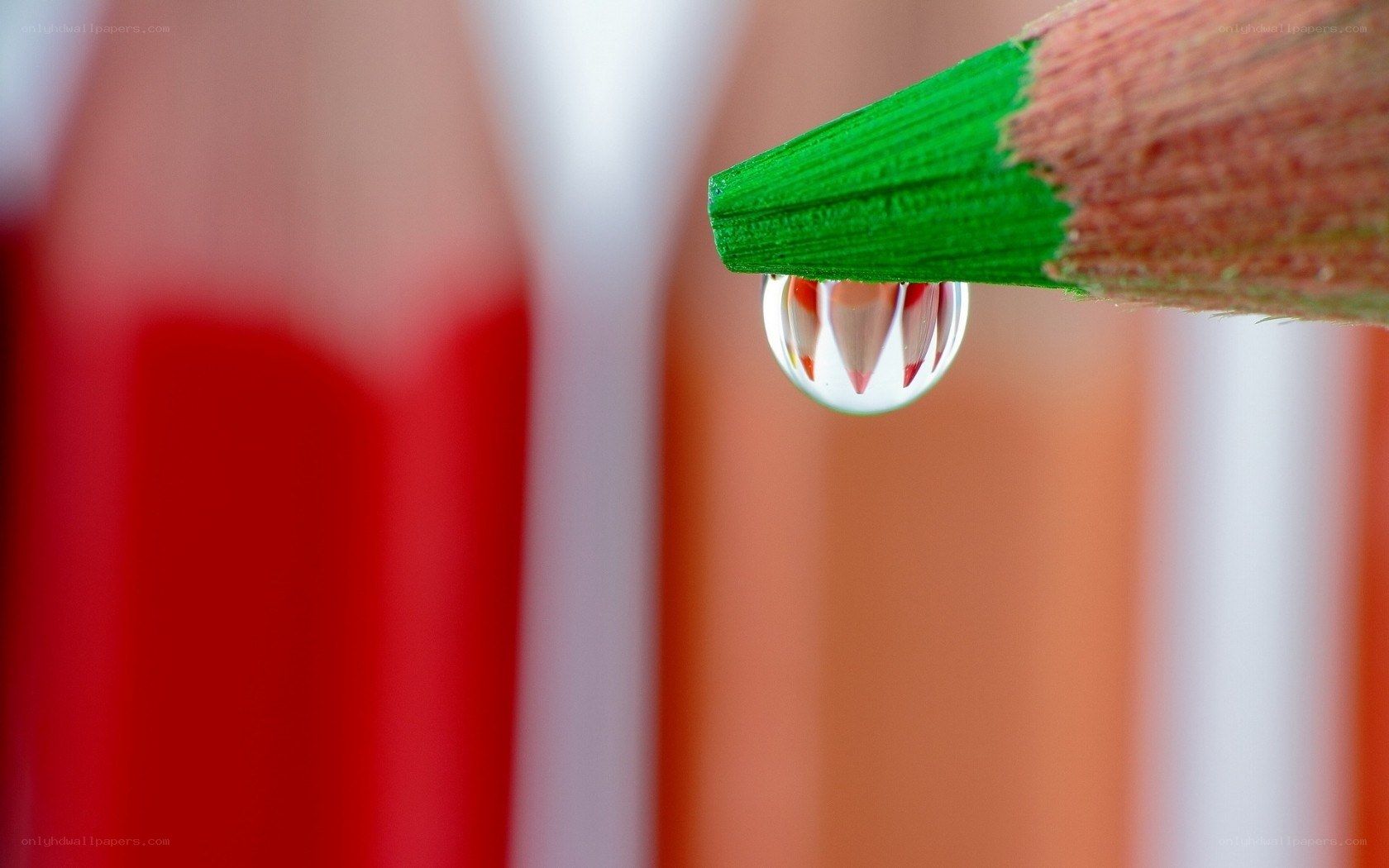 Water drop on green pencil tip