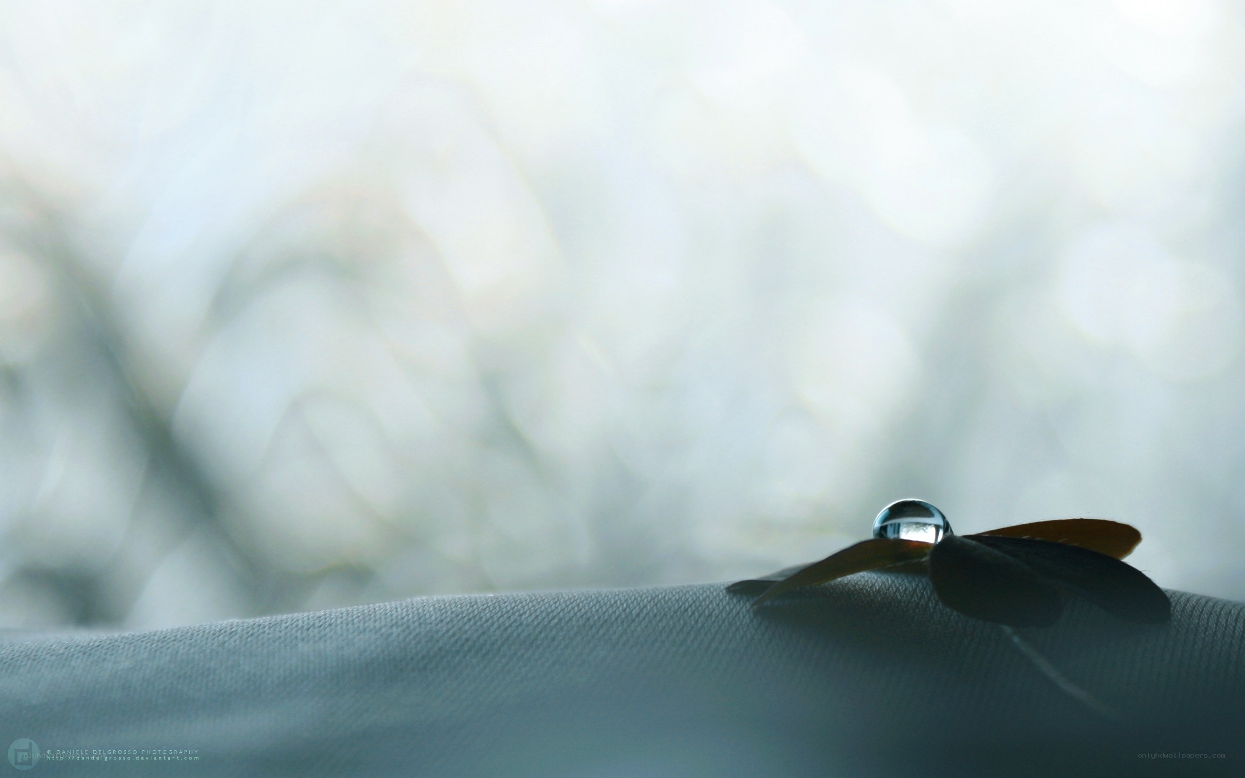 Water drop on leaf