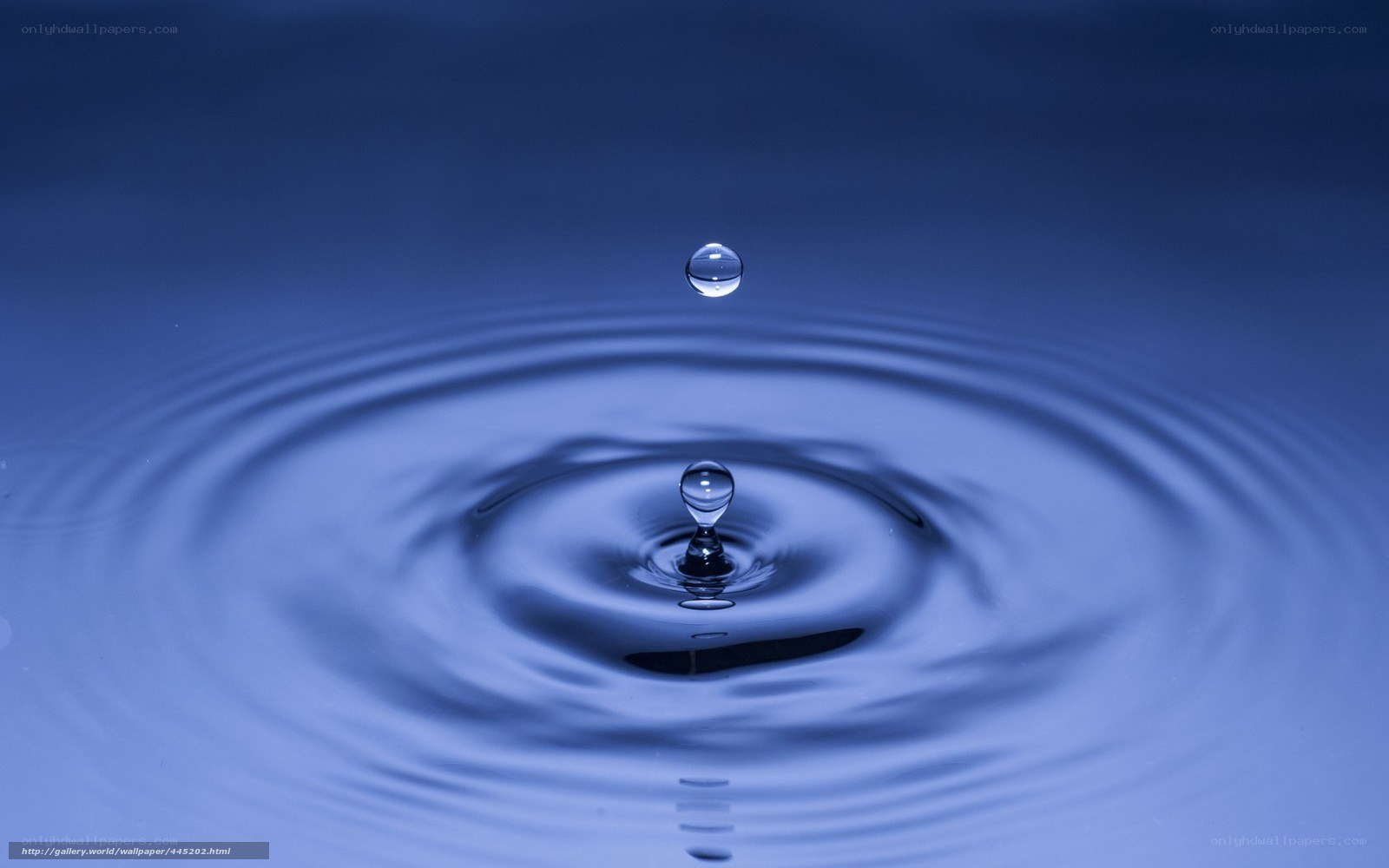 Water drop ripple effect