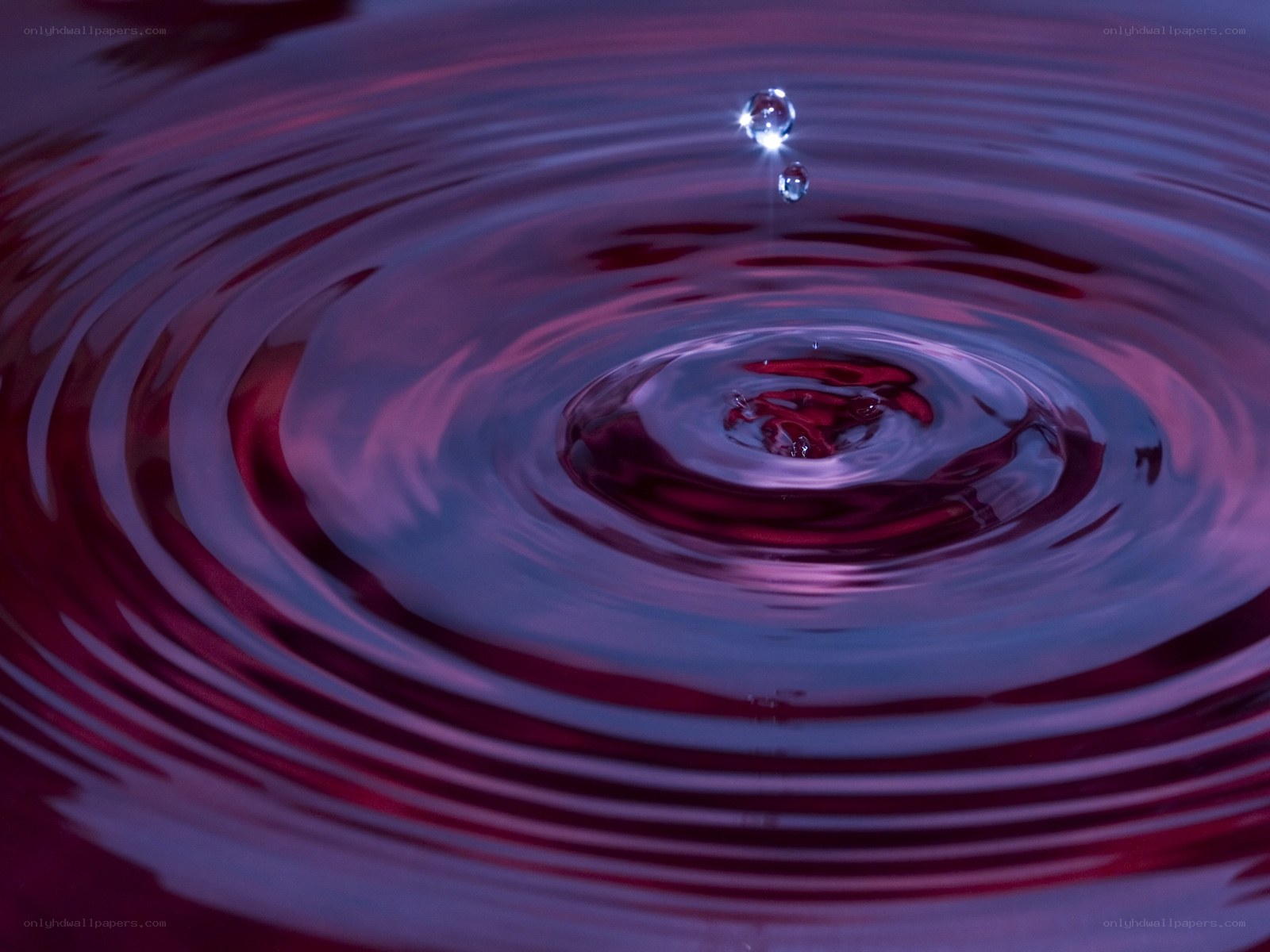 Water drop ripples in purple light