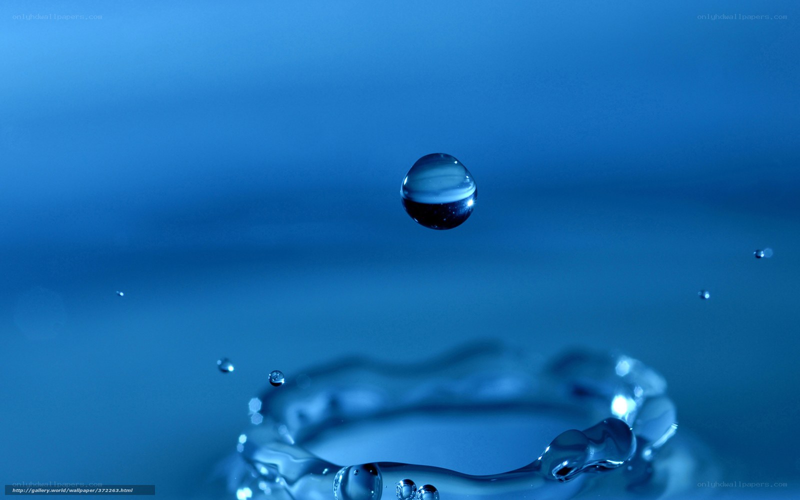 water drop splash
