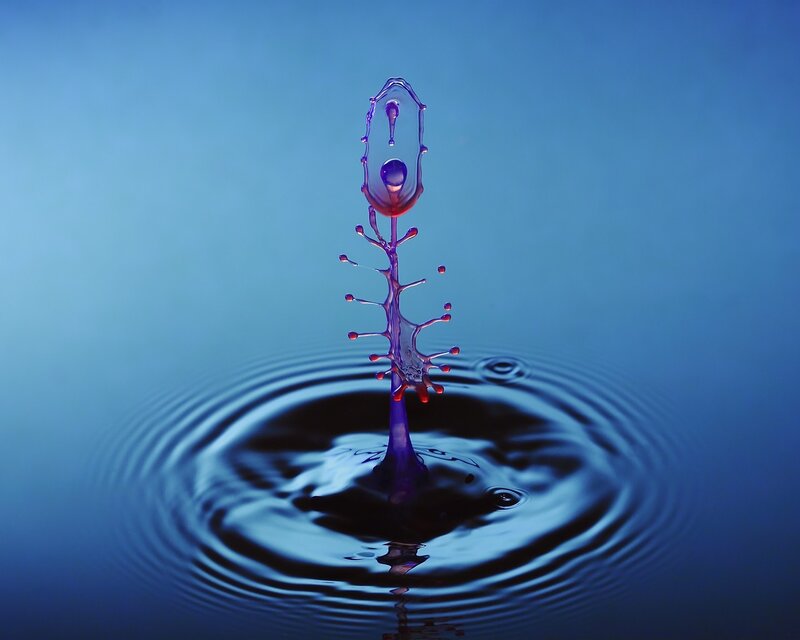 Water drop splash formation