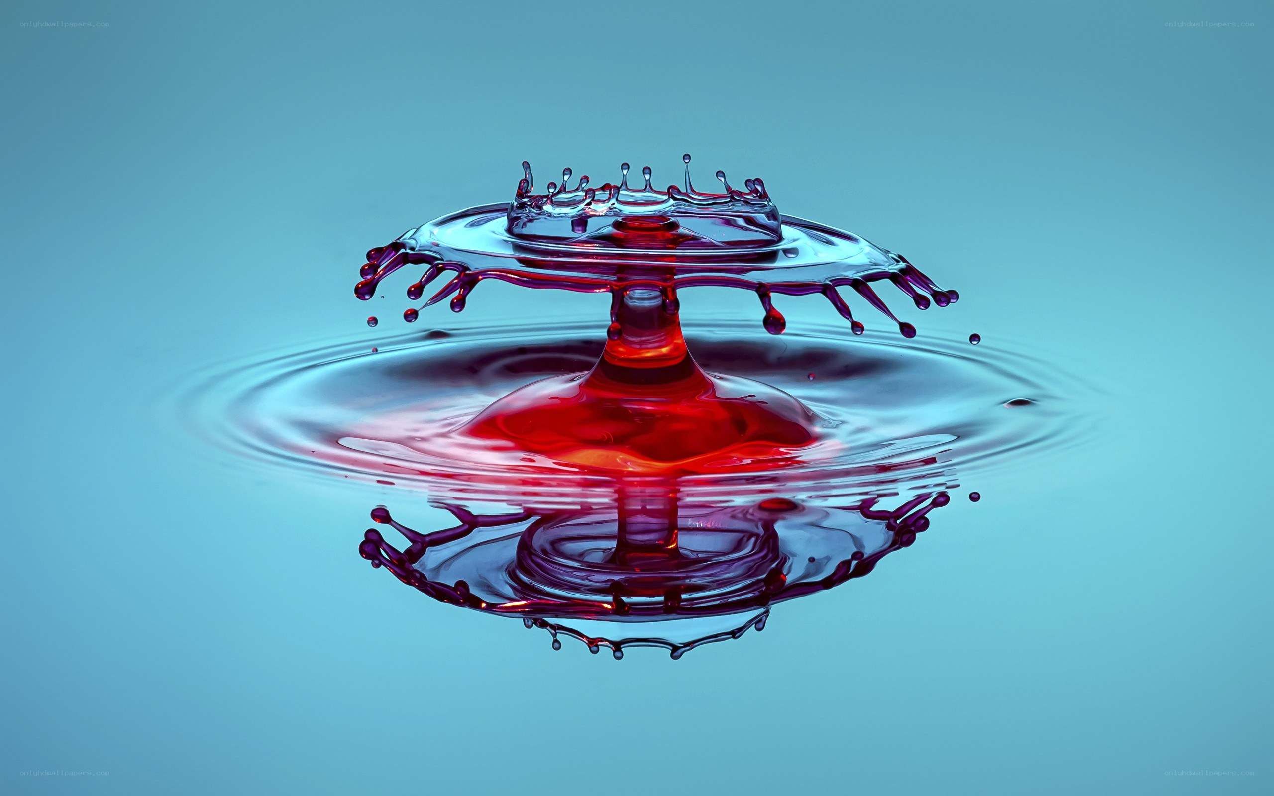 Water drop splash formation