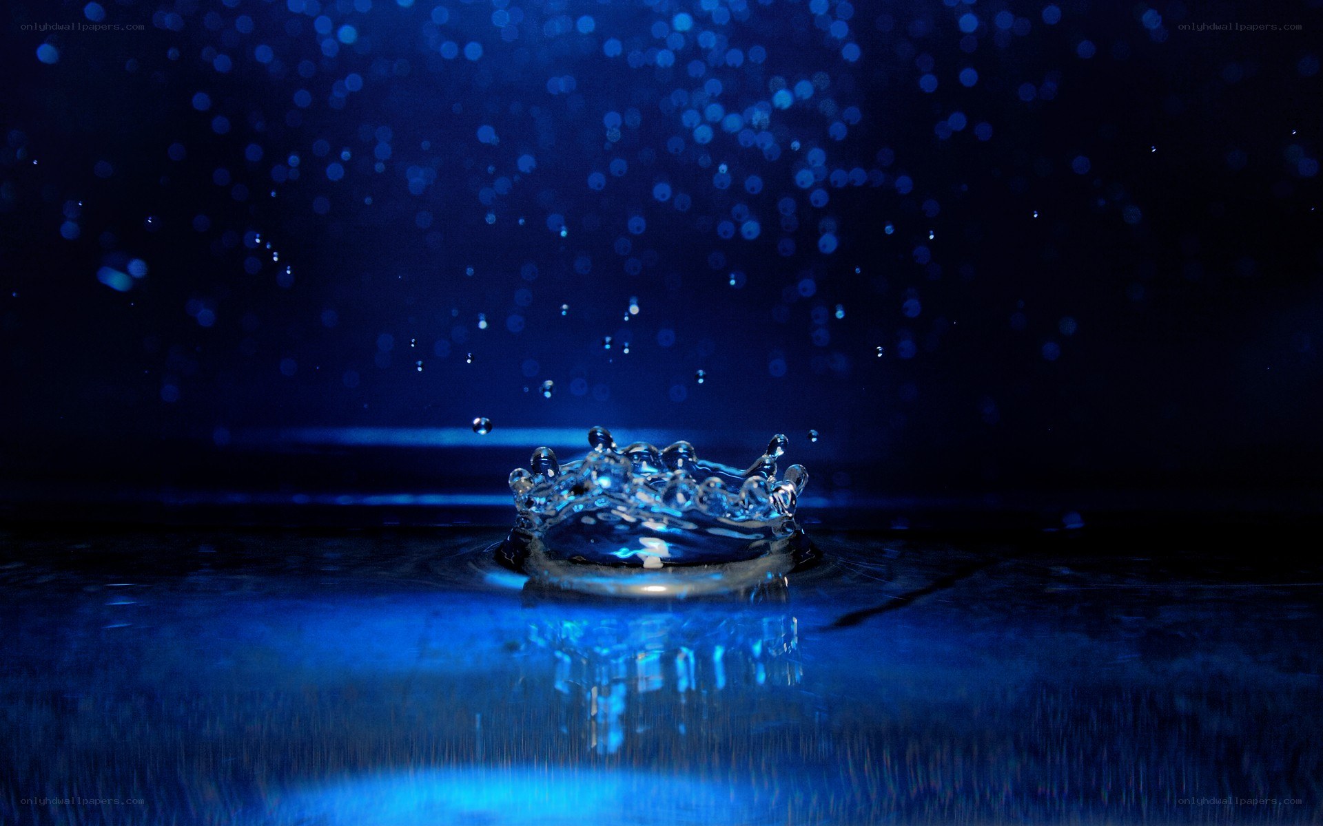 Water drop splash in blue light
