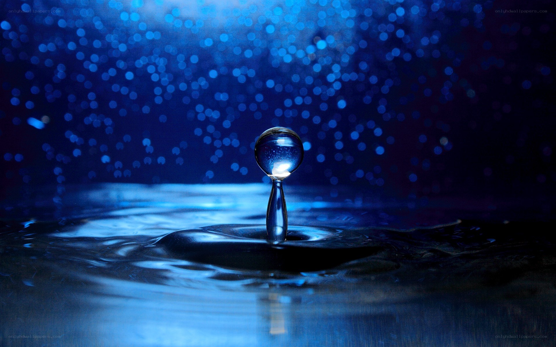 Water drop splash in blue light
