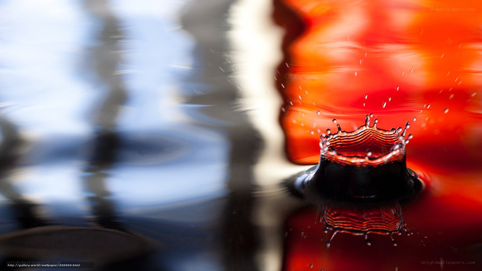 Water drop splash in red liquid