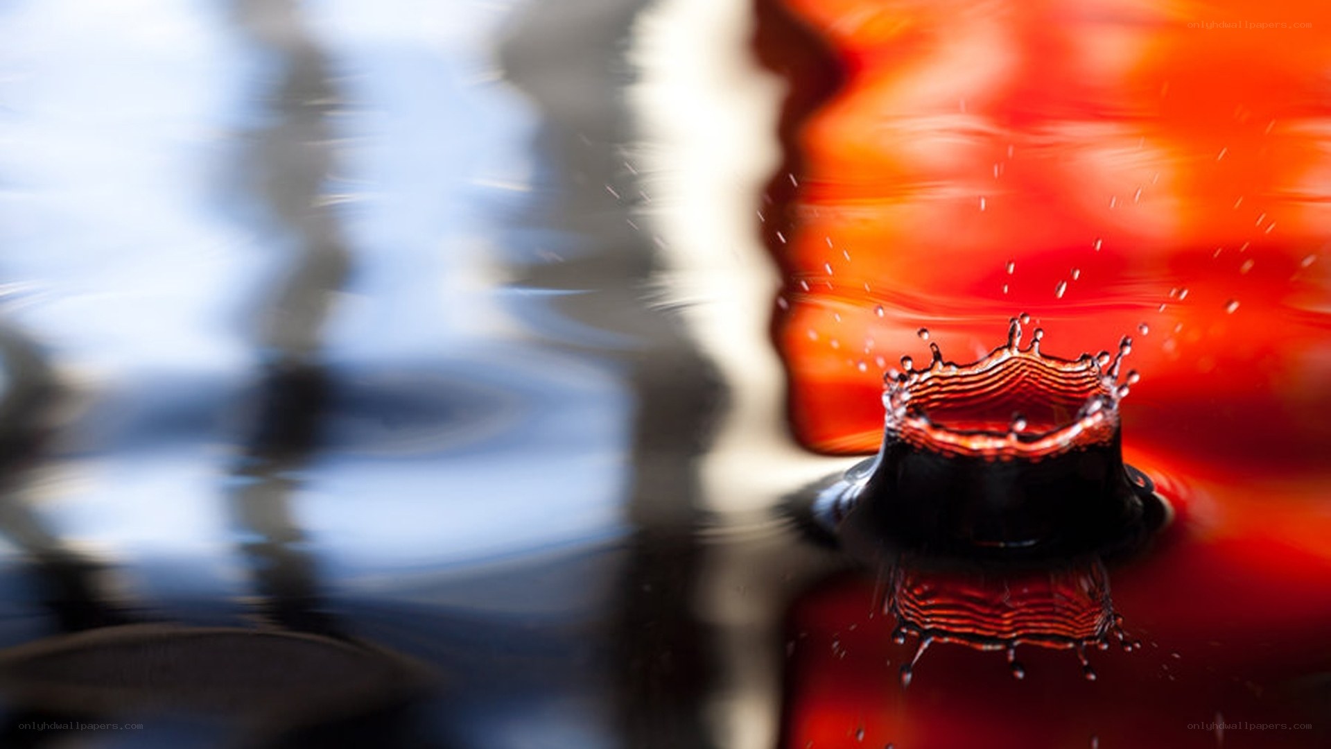 Water drop splash in red liquid