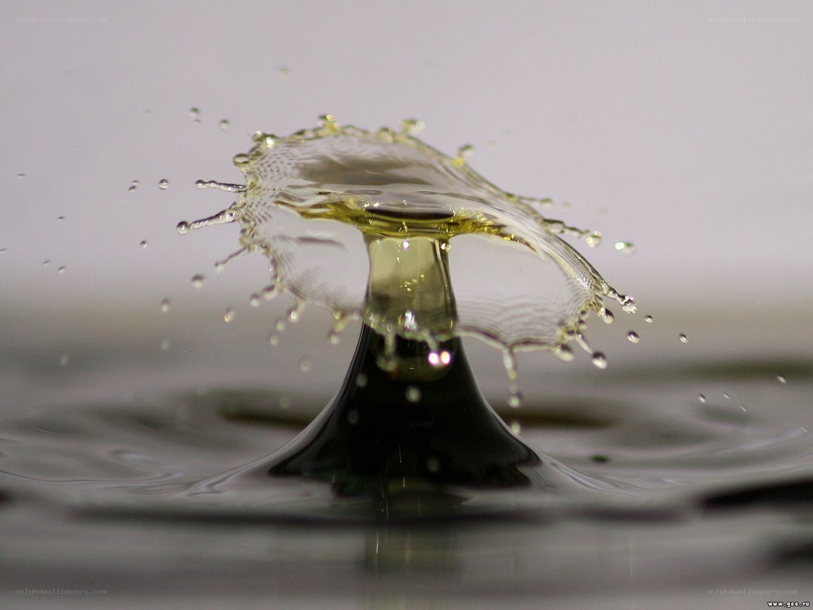 Water drop splash in slow motion