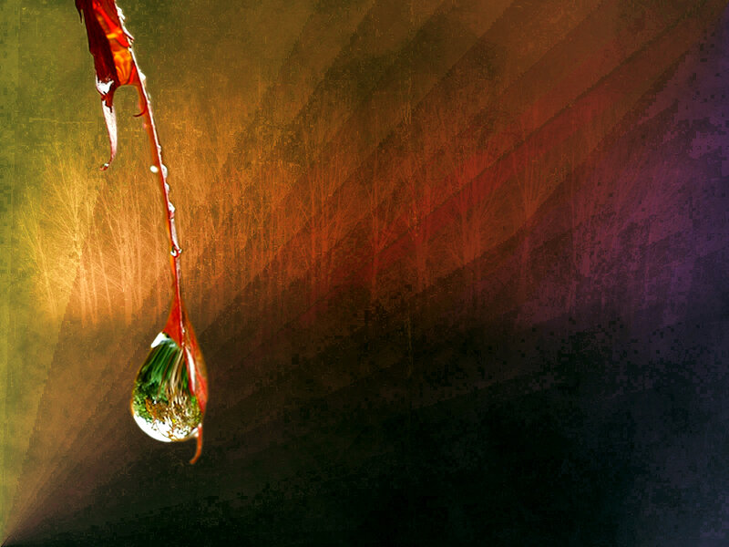 Water drop with forest reflection