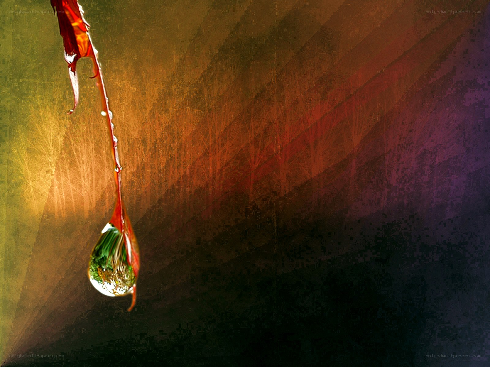 Water drop with forest reflection