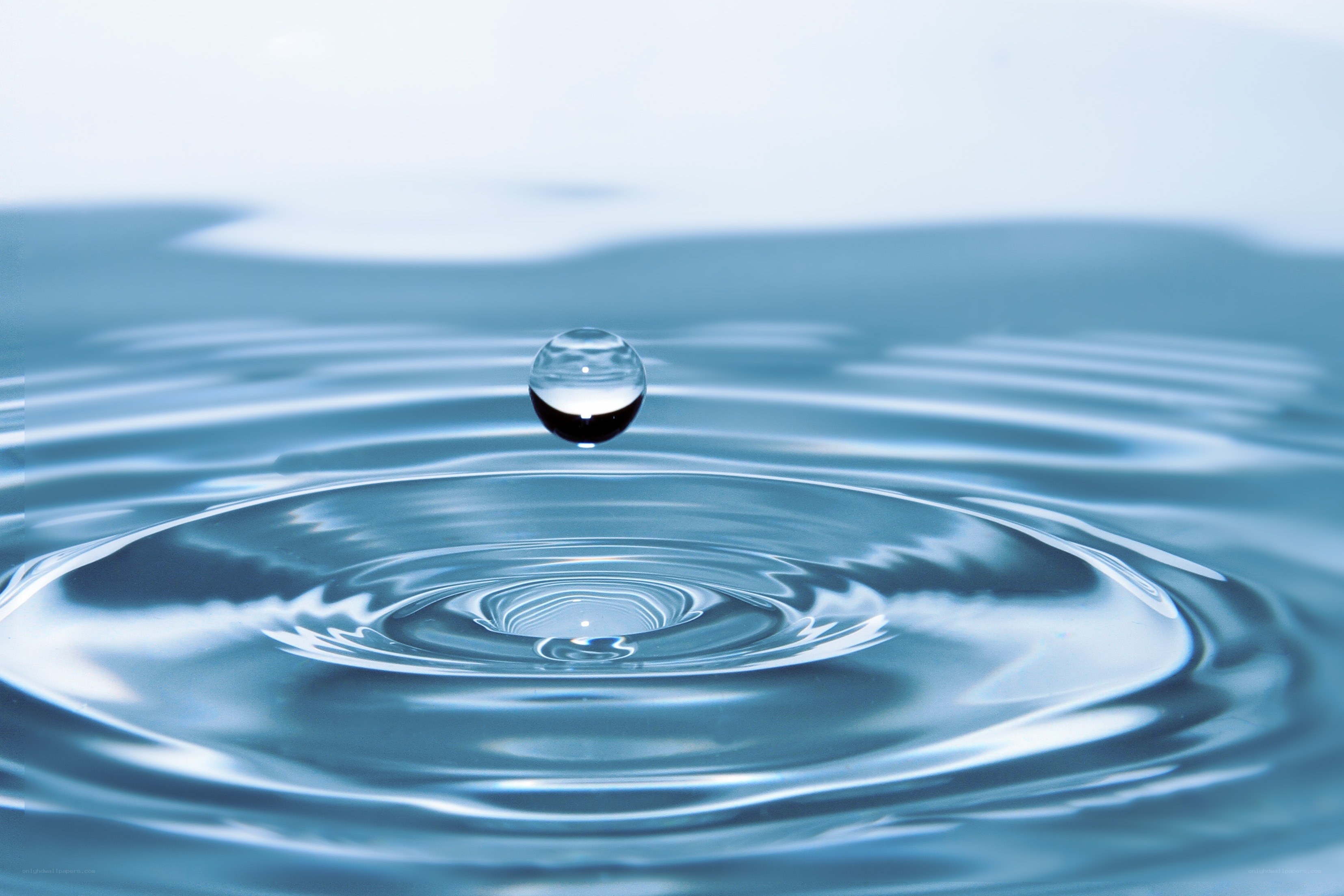 Water droplet creating ripples