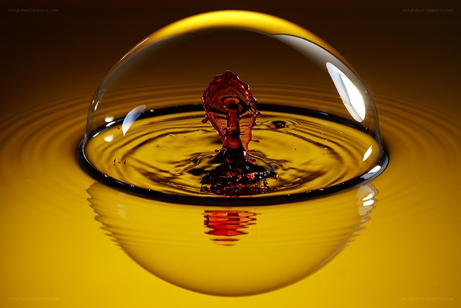 Water droplet impact