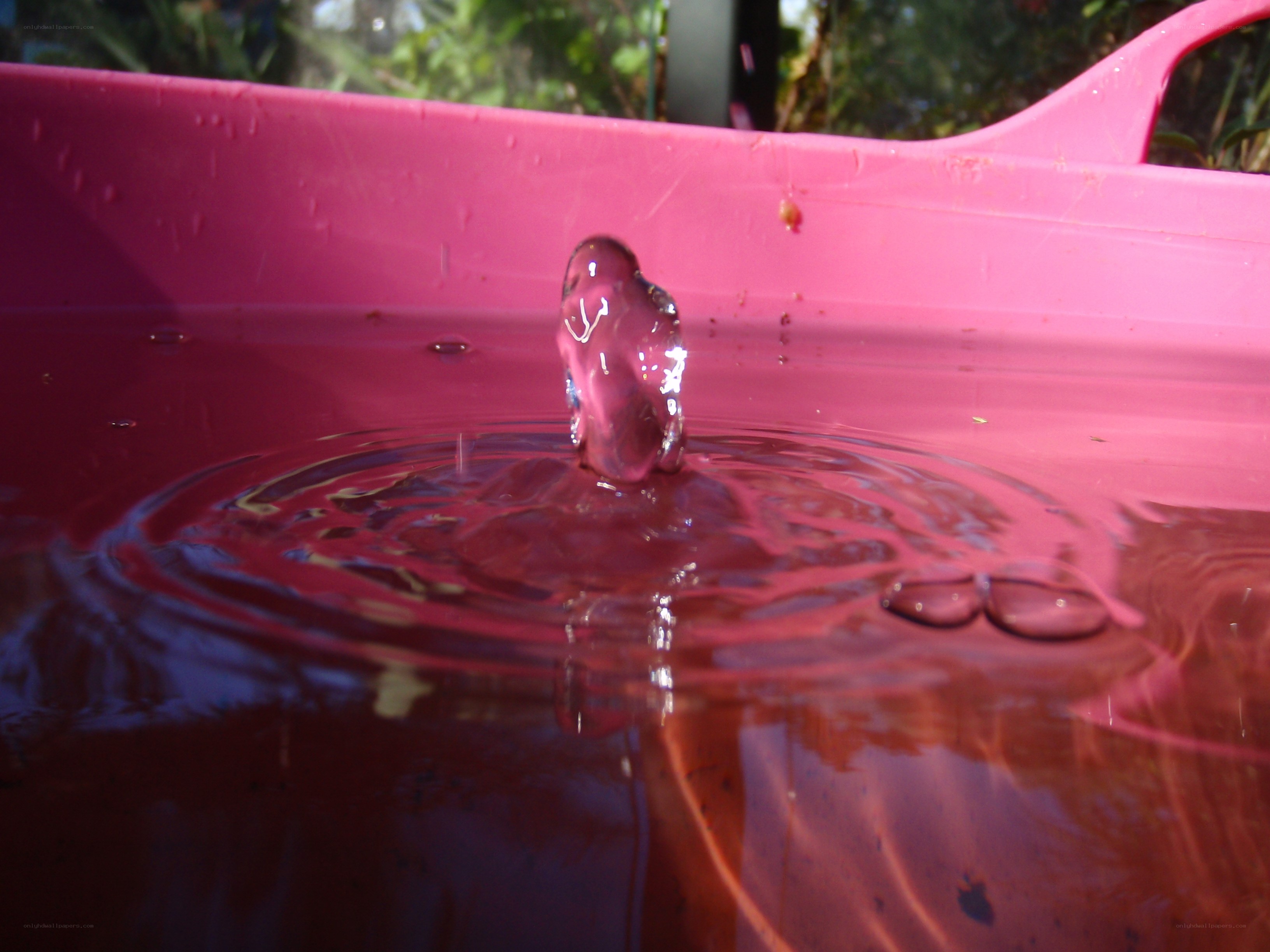 Water droplet in pink container