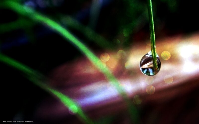 Water droplet on a blade of grass