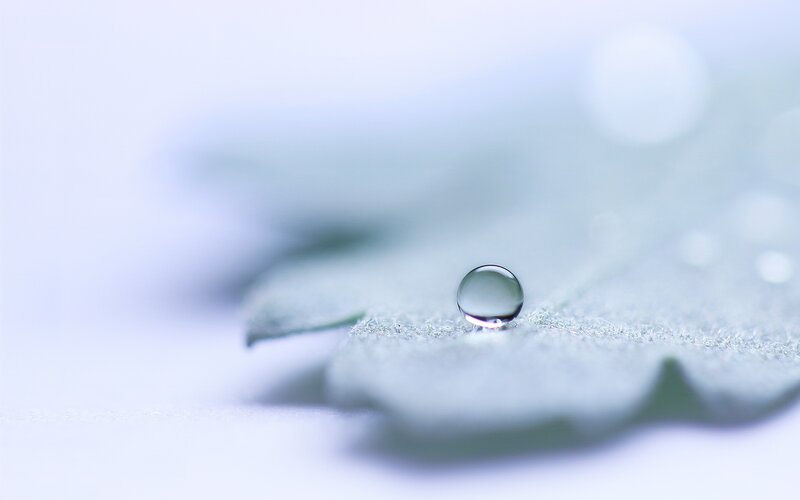 Water droplet on a leaf