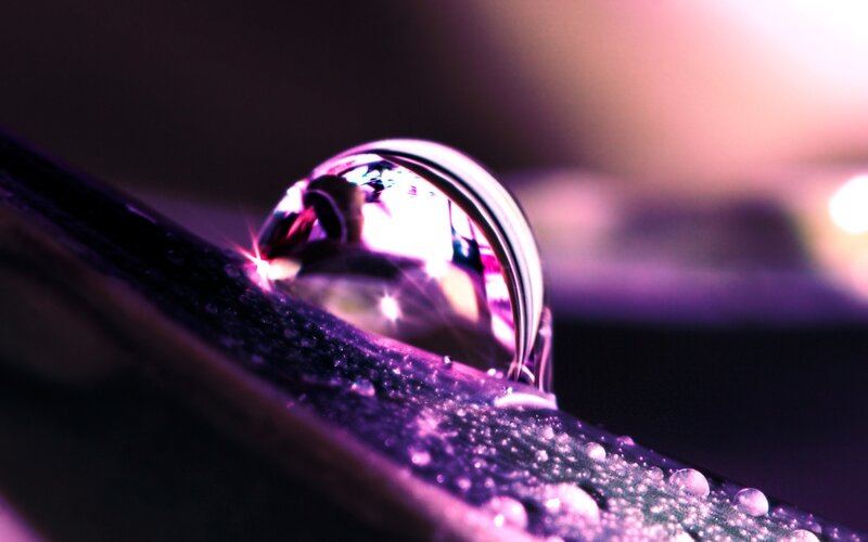 Water droplet on a leaf