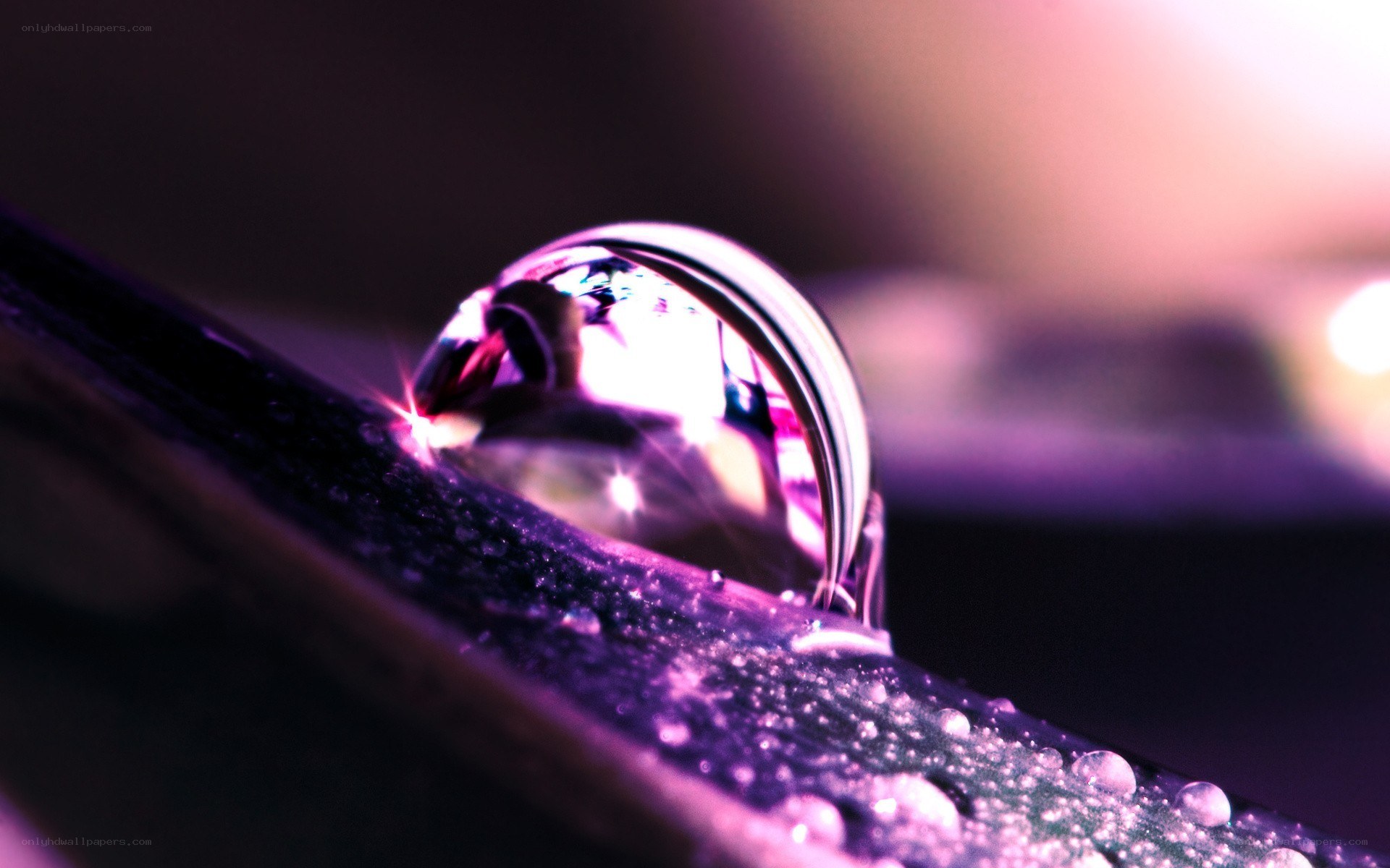 Water droplet on a leaf