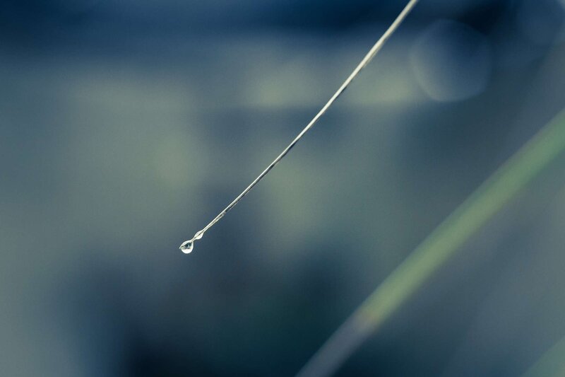 Water Droplet on Blade