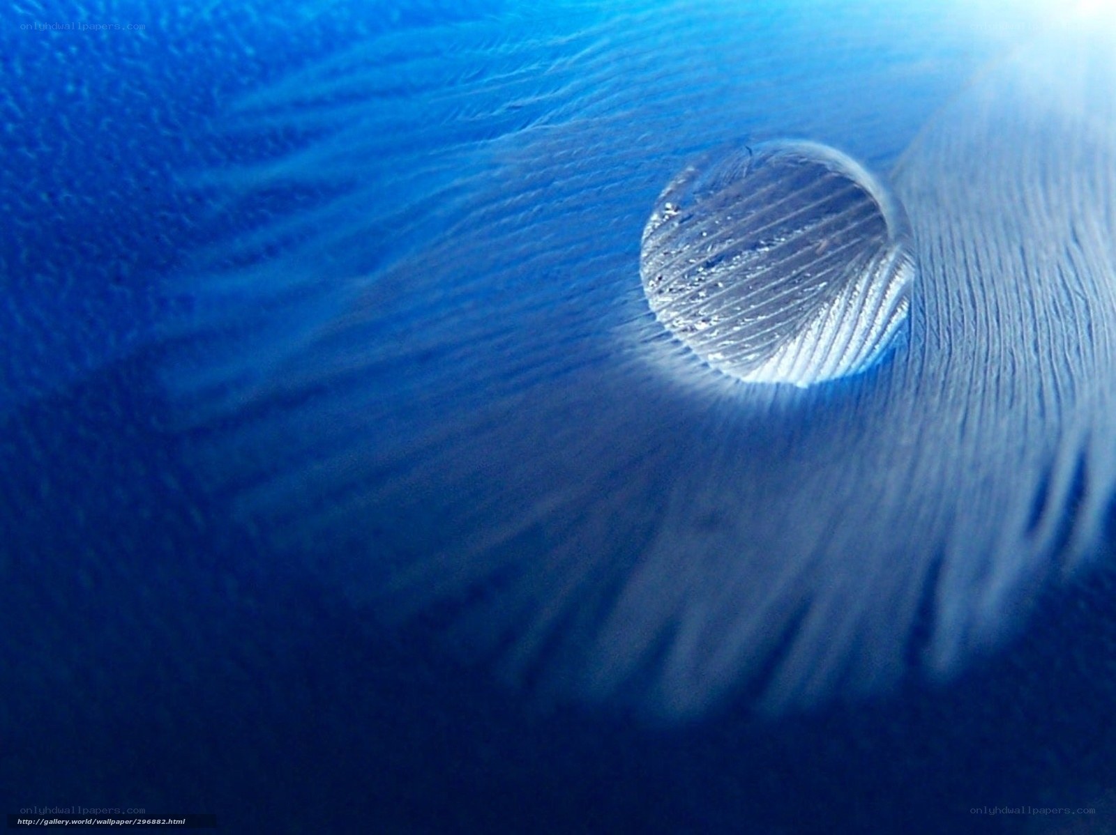 Water droplet on blue surface
