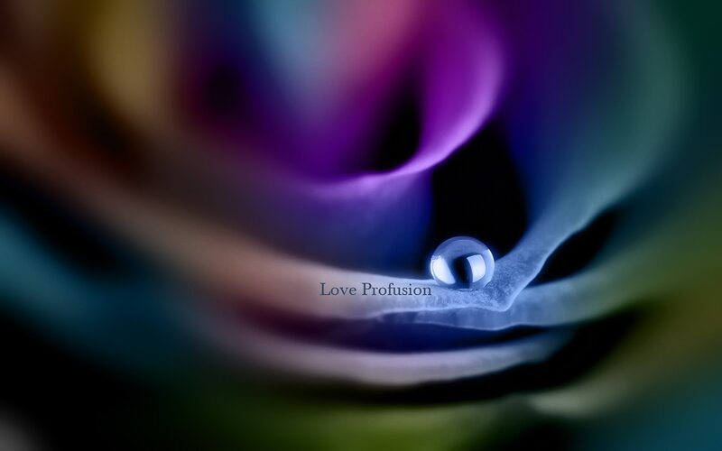 Water droplet on colorful flower