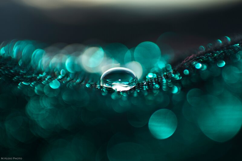 Water Droplet on Fabric — Teal