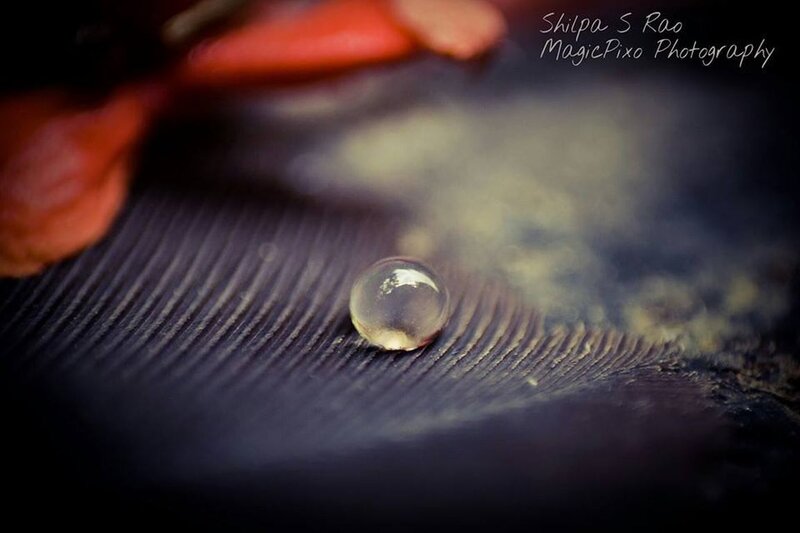 Water Droplet on Feather — Black