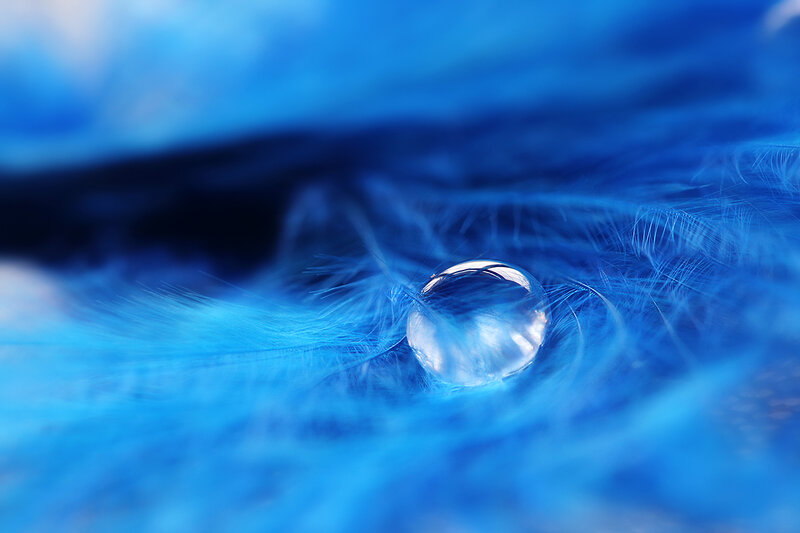 Water Droplet on Feather — Blue, Serene