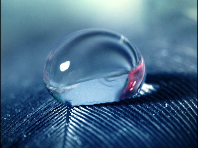 Water Droplet on Feather — Blue
