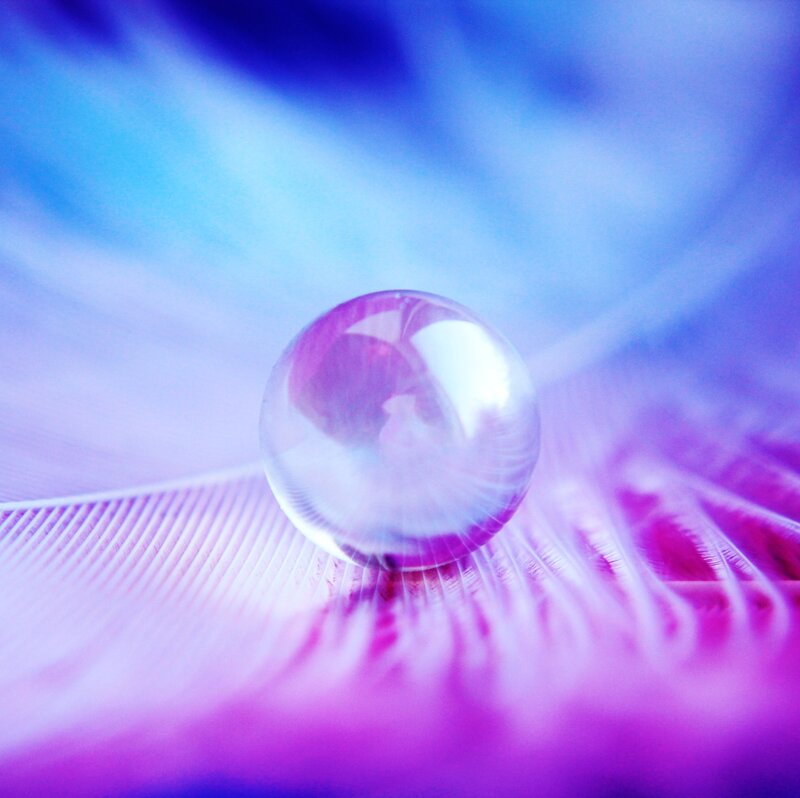 Water Droplet on Feather — Purple