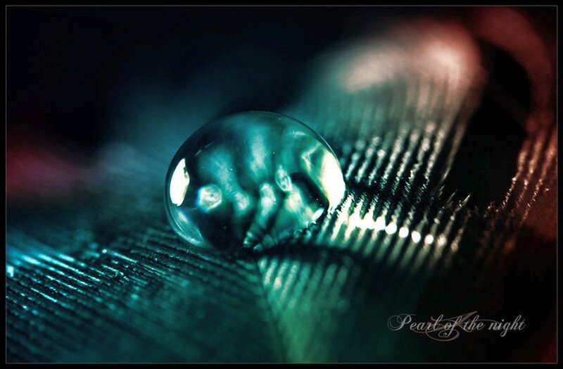 Water Droplet on Feather — Teal