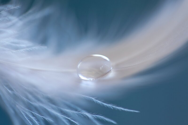 Water Droplet on Feather — White, Serene