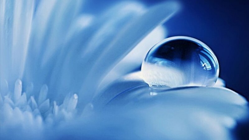 Water droplet on flower petal