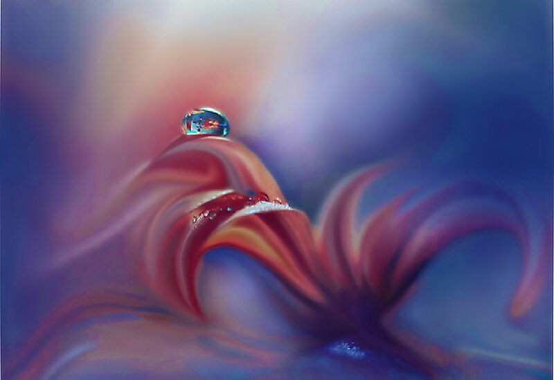 Water Droplet on Flower Petal — Purple, Serene, Digital Art