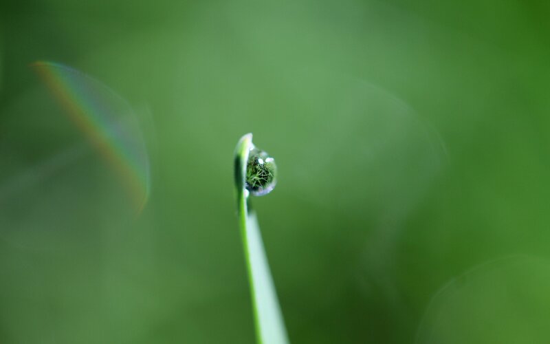 Water Droplet on Grass — Green, Serene, Morning, Photograph, Rainbow, Leaf