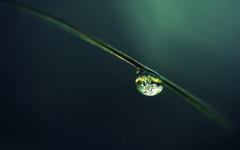 Water Droplet on Grass — Green, Serene, Night