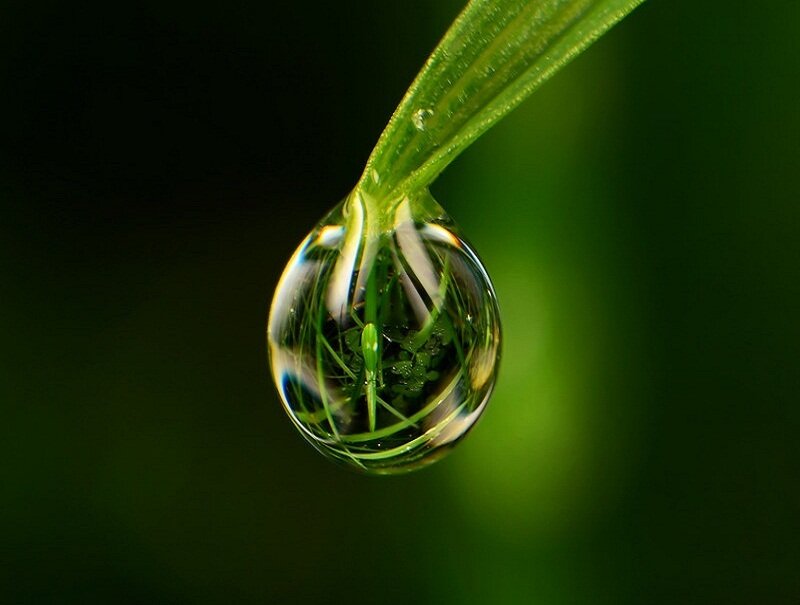 Water Droplet on Grass — Green, Serene