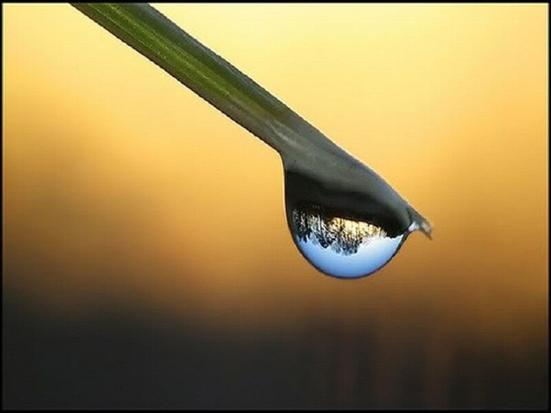 Water Droplet on Grass — Yellow