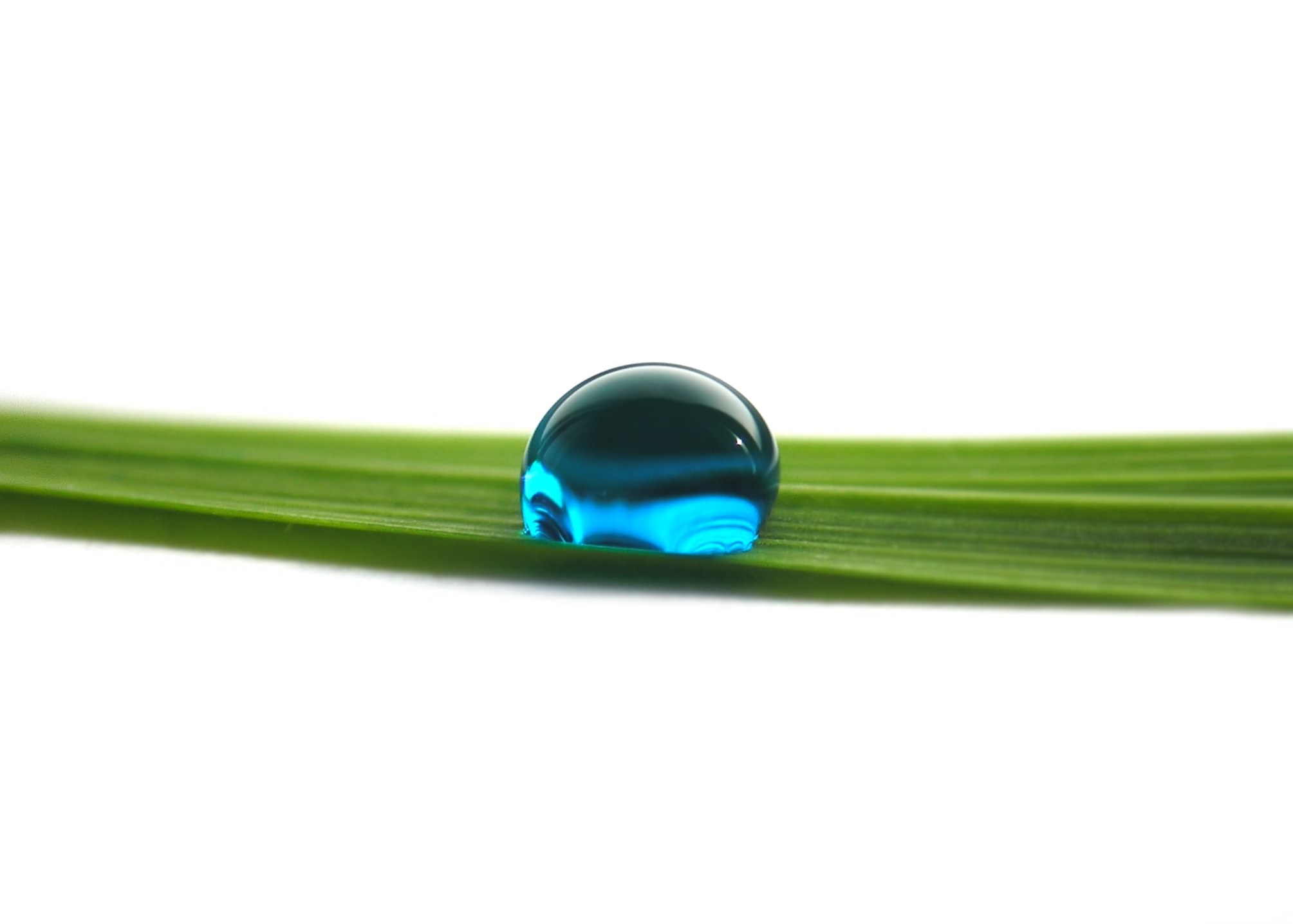Water droplet on green leaf