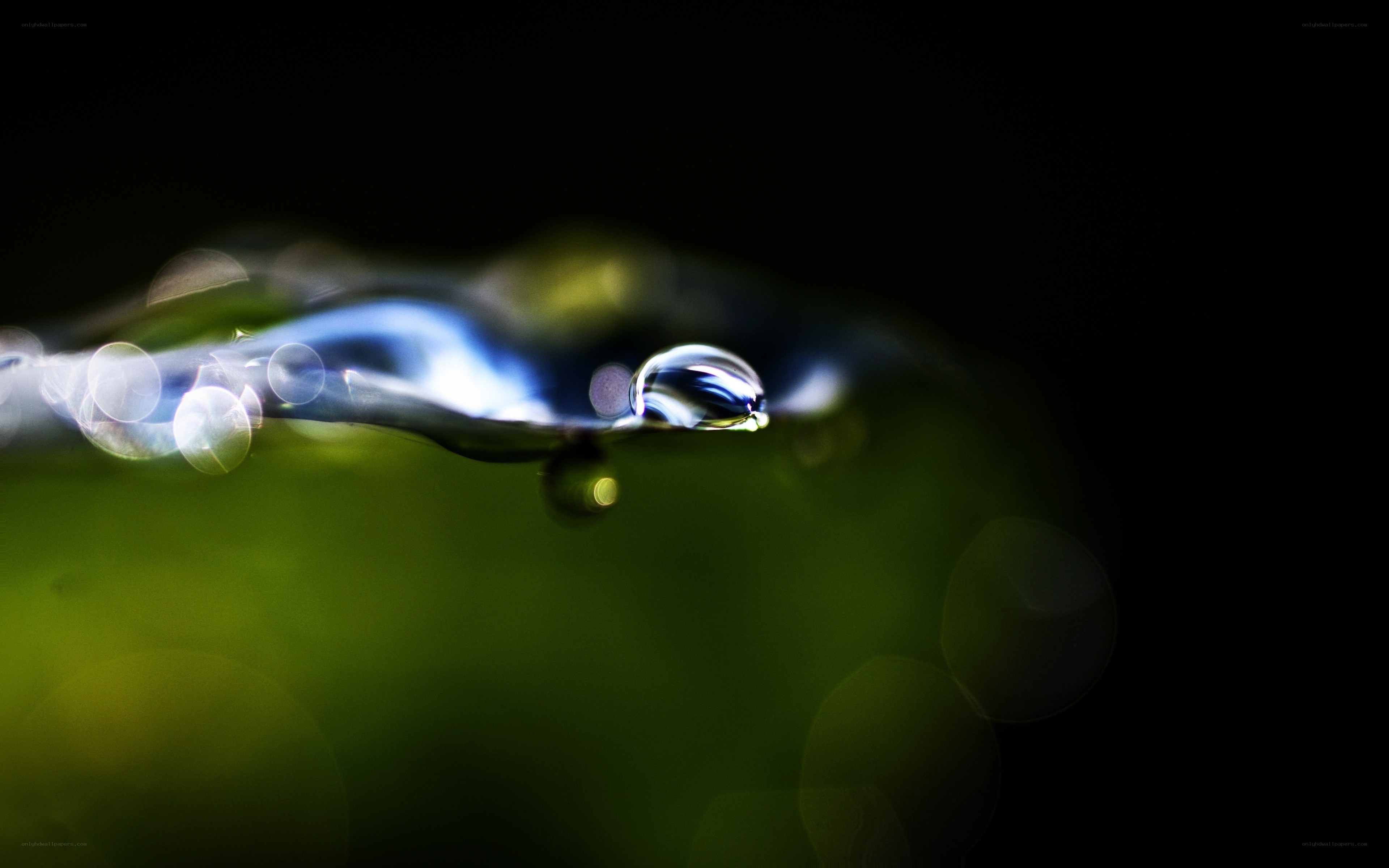 Water droplet on green leaf