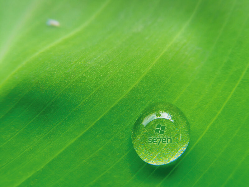 Water droplet on green leaf
