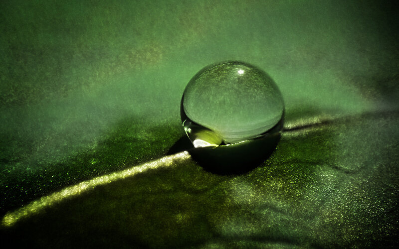 Water droplet on green leaf