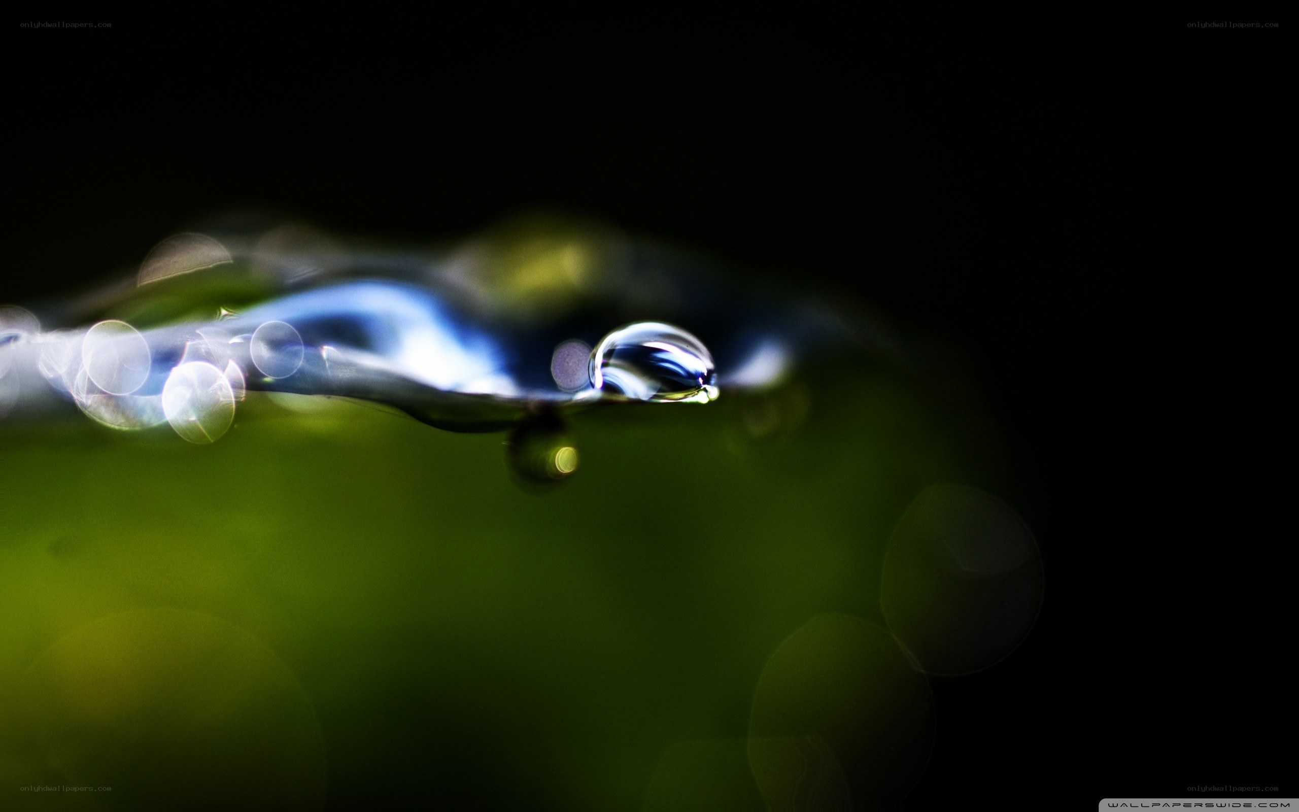 Water droplet on green leaf