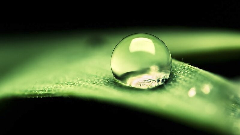 Water droplet on green leaf