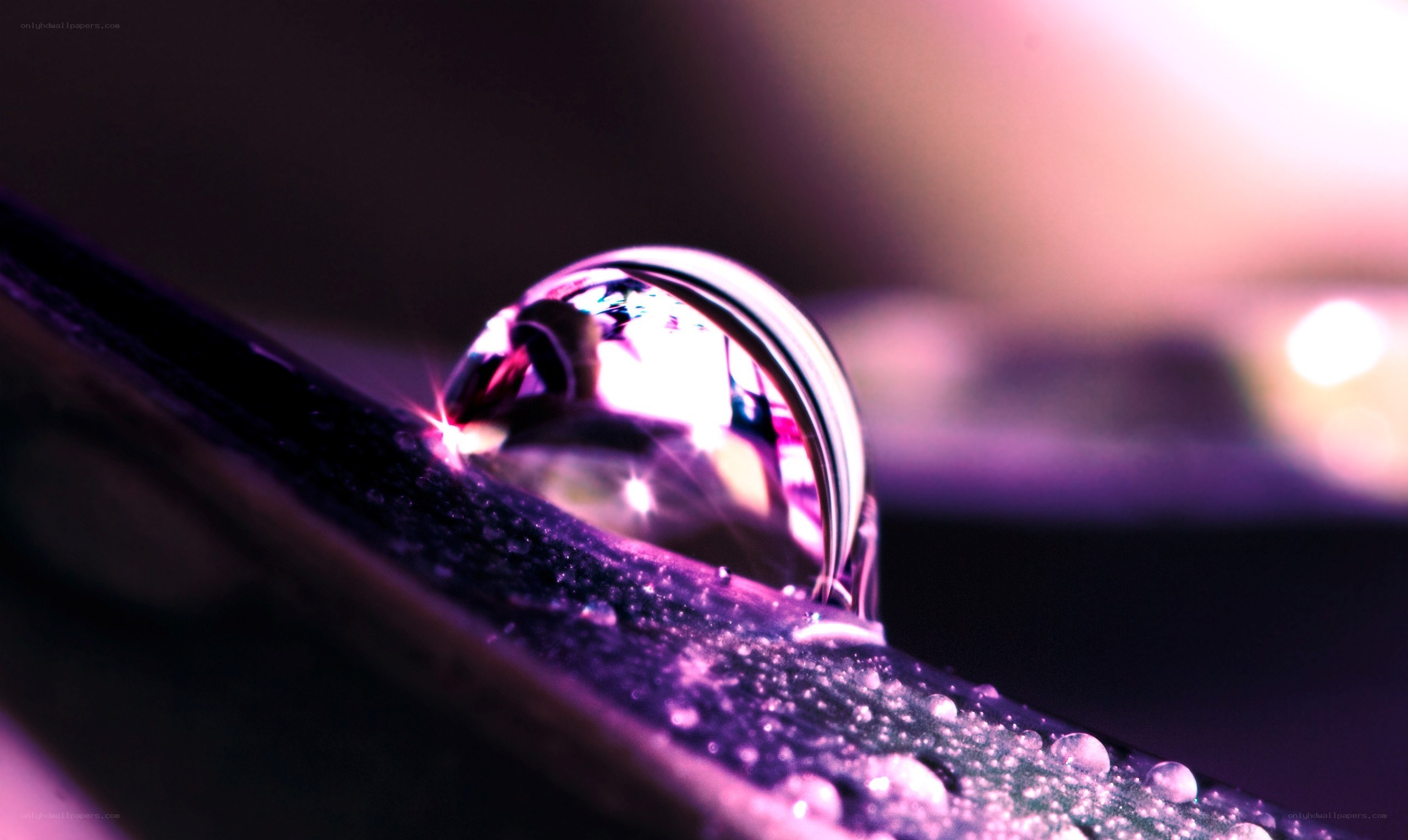 Water droplet on leaf